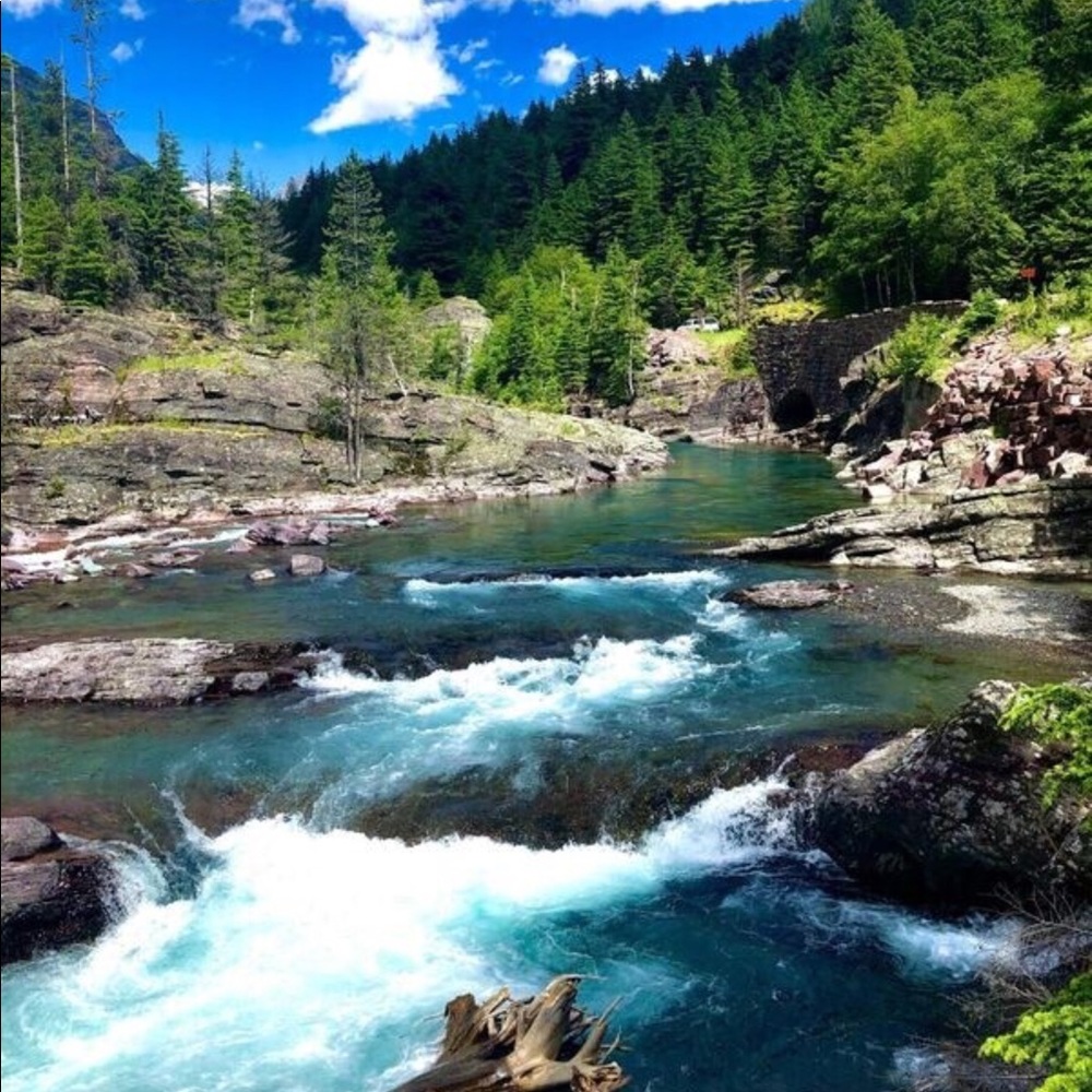 Meet your Posher, Barbara